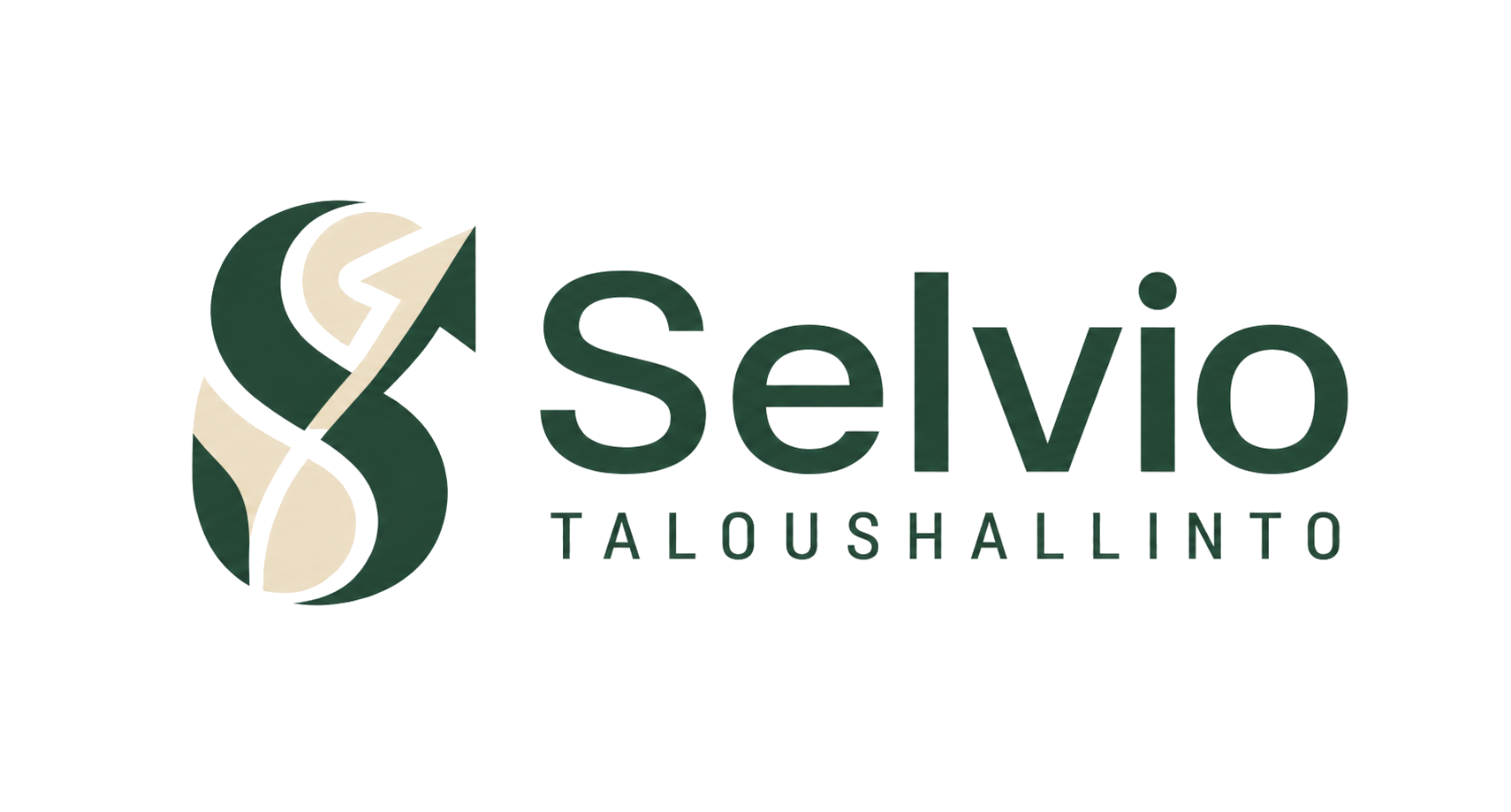 Selvio Taloushallinto